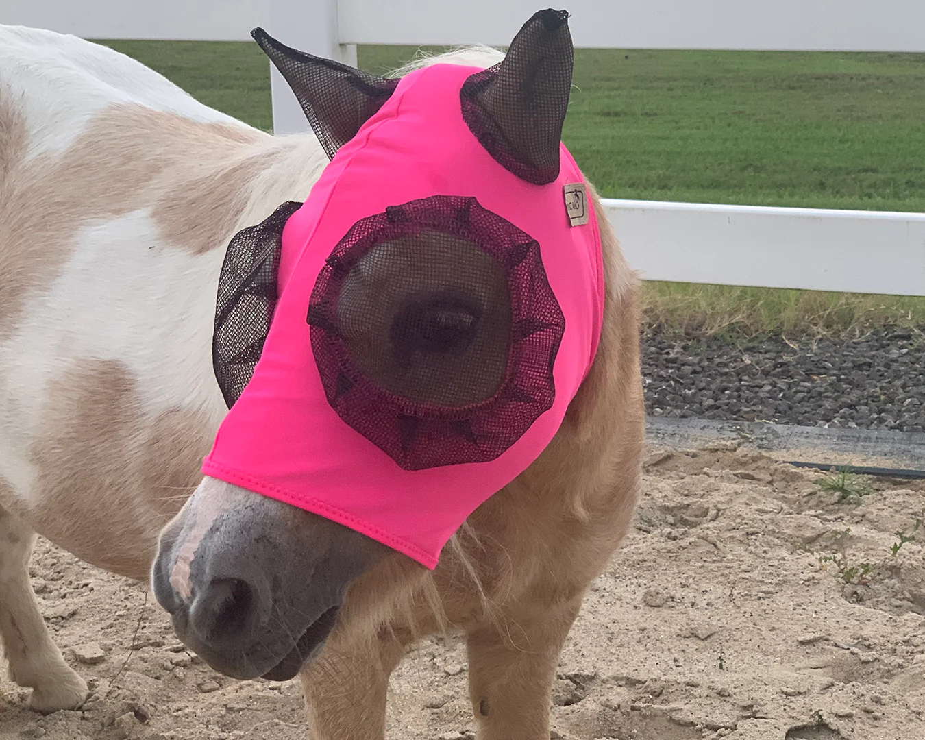 Piccolo Lycra Pull-On Fly Mask - Image 5