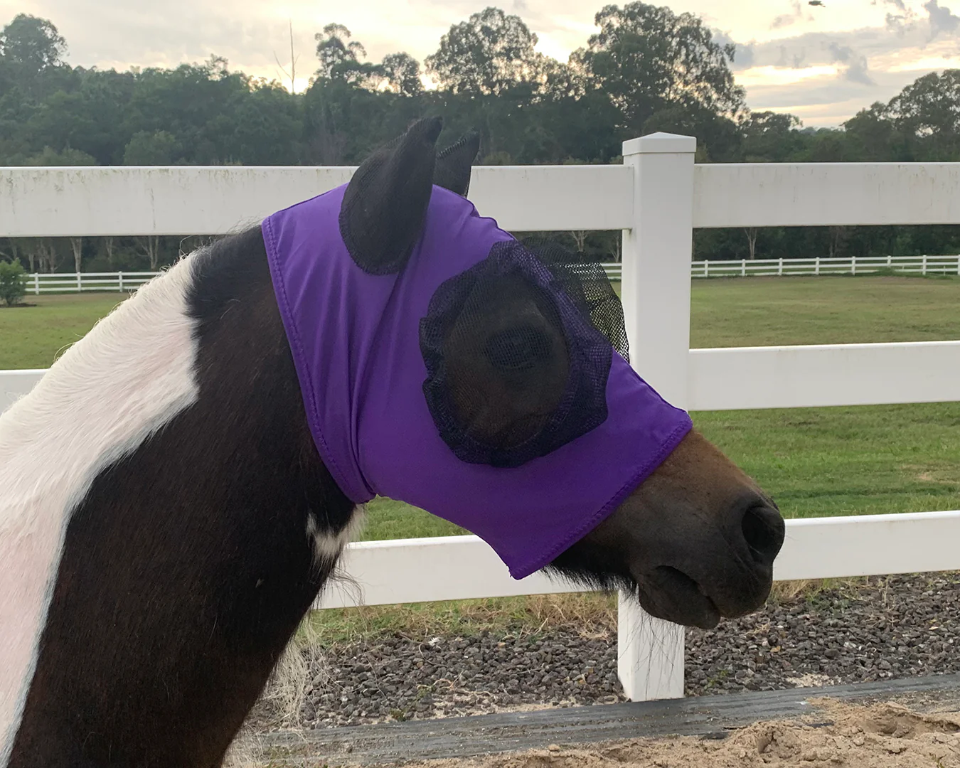 Piccolo Lycra Pull-On Fly Mask - Image 2