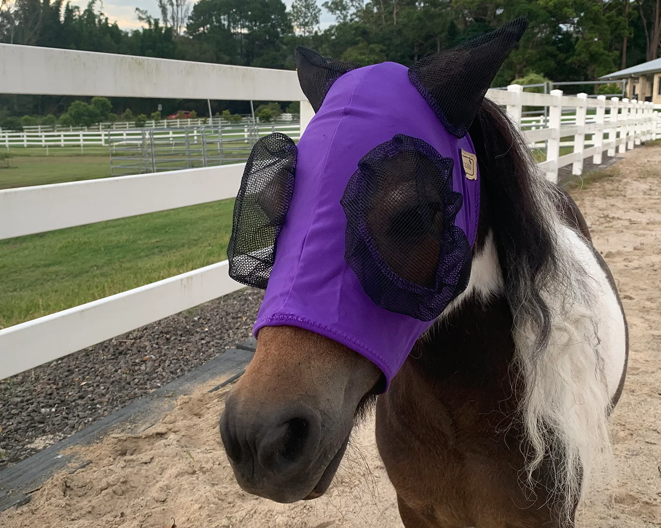 Piccolo Lycra Pull-On Fly Mask
