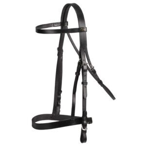 Snaffle Bridle With Reins