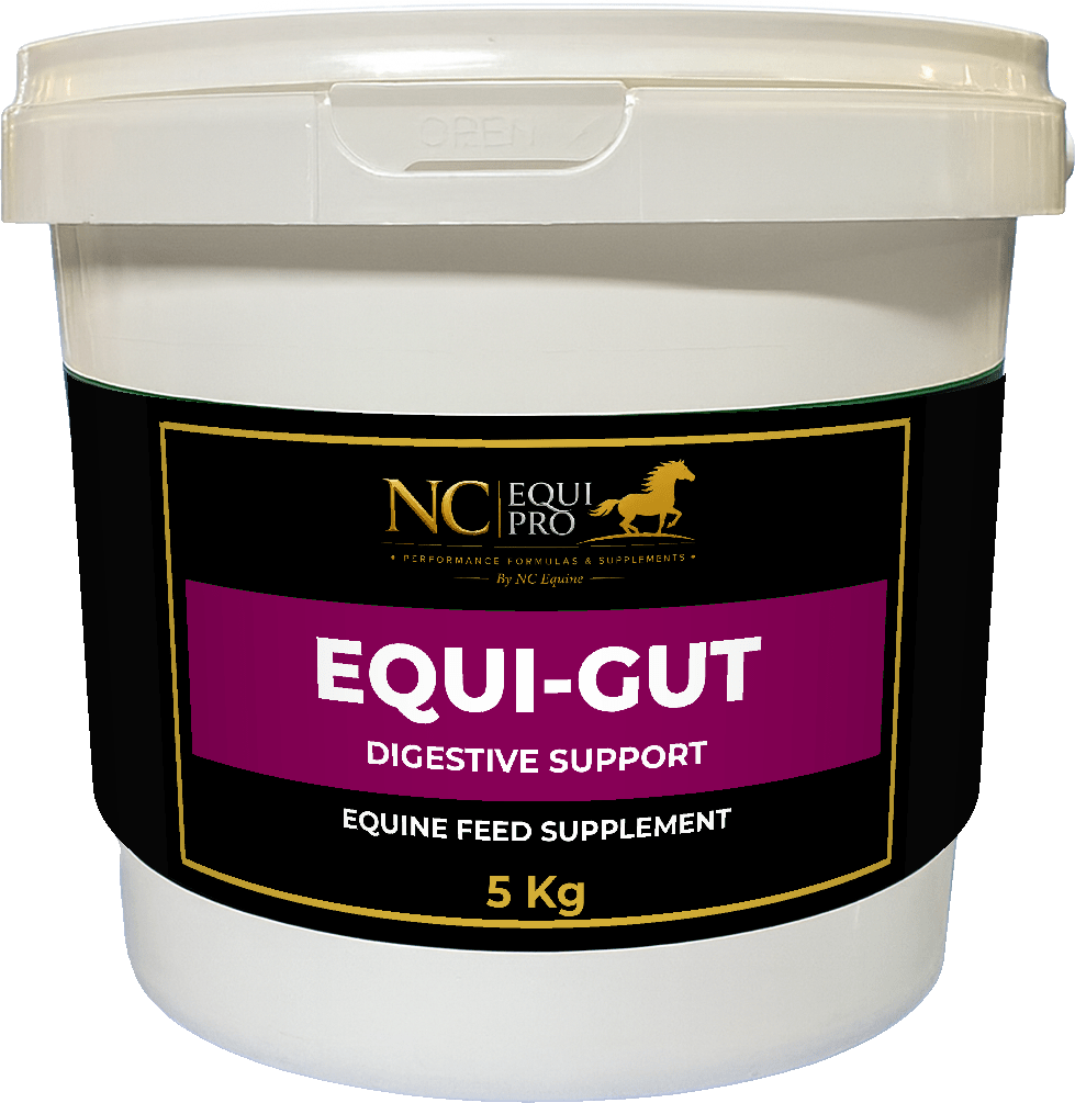 EQUI-GUT Digestive Support (1kg / 5kg) – Natural Montmorillonite Clay