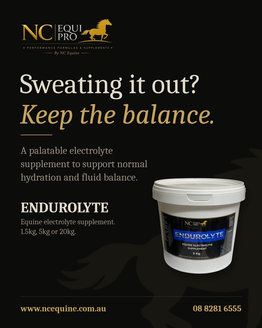 NC EquiPro Endurolyte – Electrolyte Nutritional Support for Horses - Image 4
