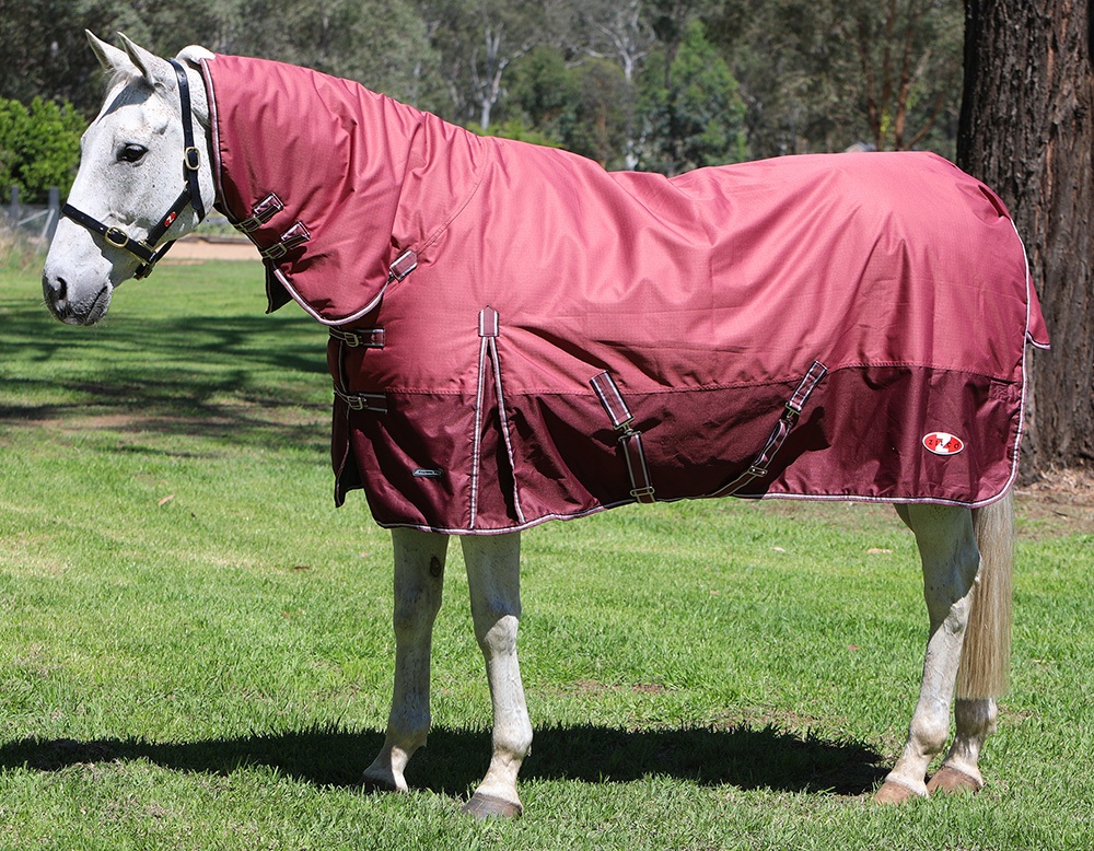 Zilco Explorer 200 Combo Rug 600D Waterproof 200g Horse Rug Combo