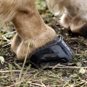 Scootboot Skin - Pair - Image 7