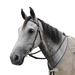 Eureka Plain Snaffle Bridle -  Brown Cob