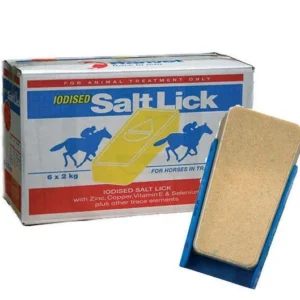 Salt Lick  (without Holder)