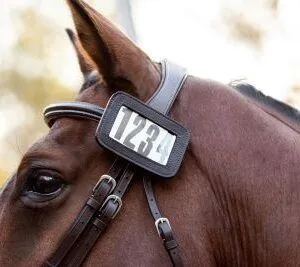 Cavalier Bridle Number Holder – 4 Digit Large