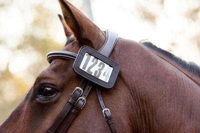 Cavalier Bridle Number Holder – 4 Digit Large
