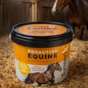 TurmeriX Proactive Equine Supplement 1kg - Natural Turmeric for Horses