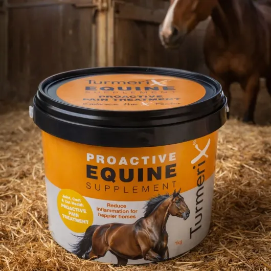 TurmeriX Proactive Equine Supplement 1kg - Natural Turmeric for Horses