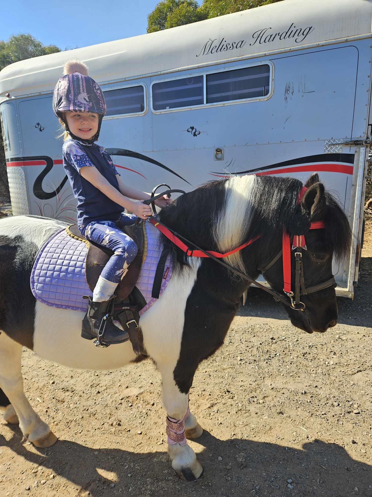 Pony Grass Control Chambon Reins