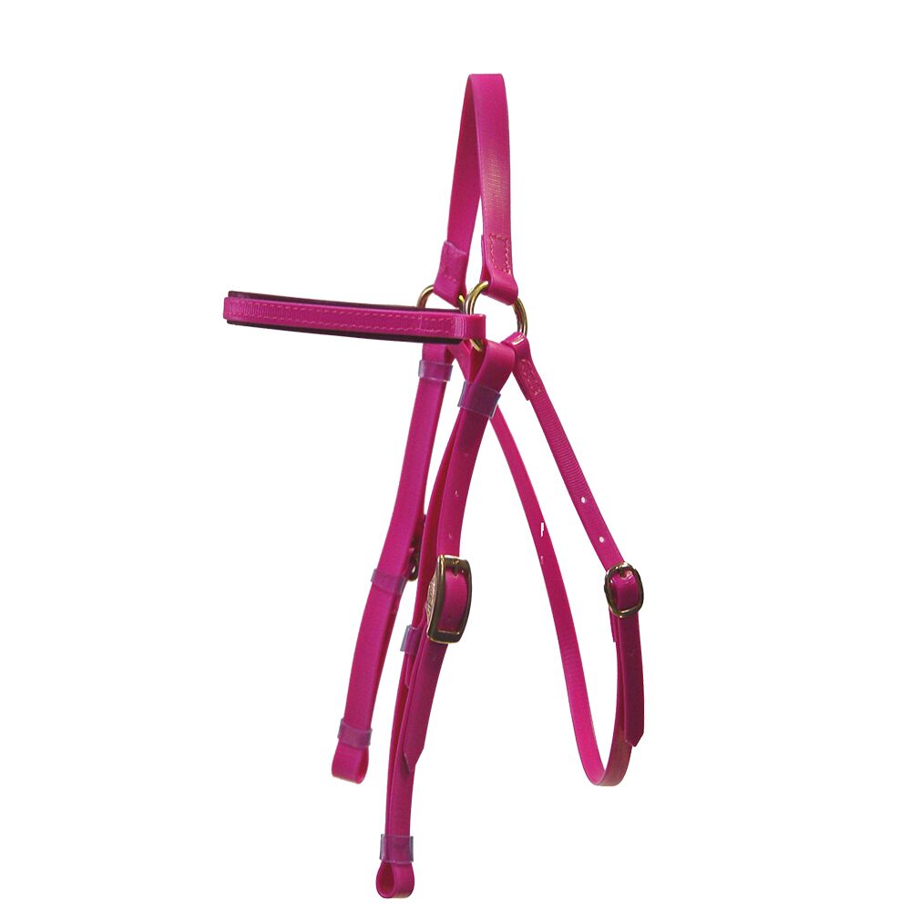 Barcoo Bridle/ Stockmans With Brass Fittings