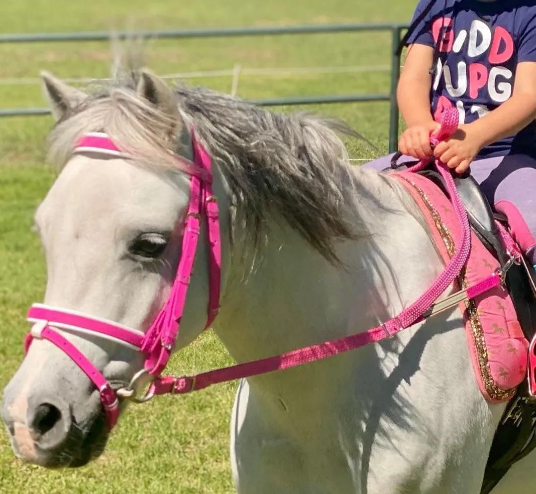 Contact Reins DEE ATTACHMENT For Saddle