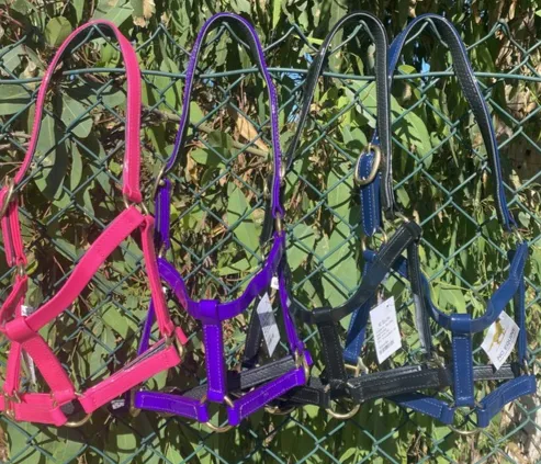 Classic Halter/Headstall With Brassed Fittings