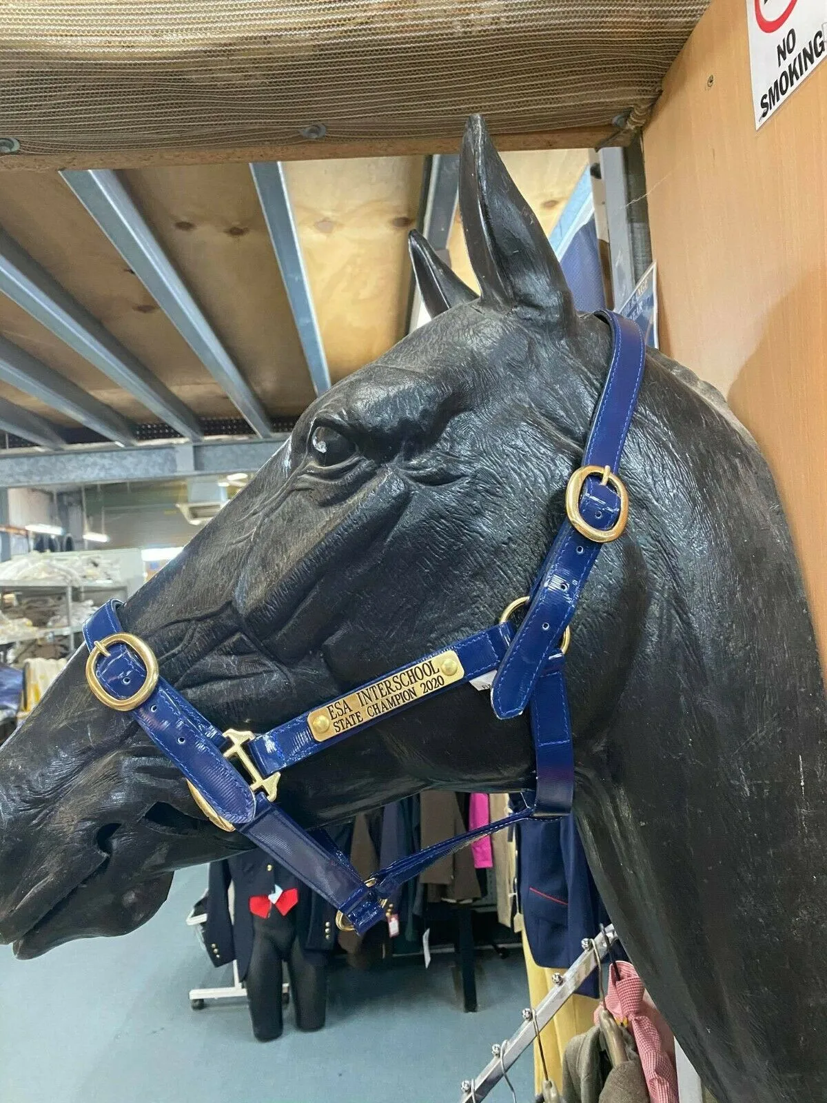 Classic Pvc Headstall/Halter With Brass or Aluminum Name Tag