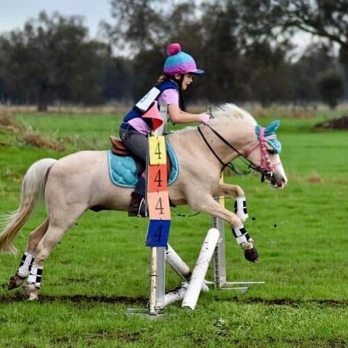 Hack Running Martingale Fully Adjustable