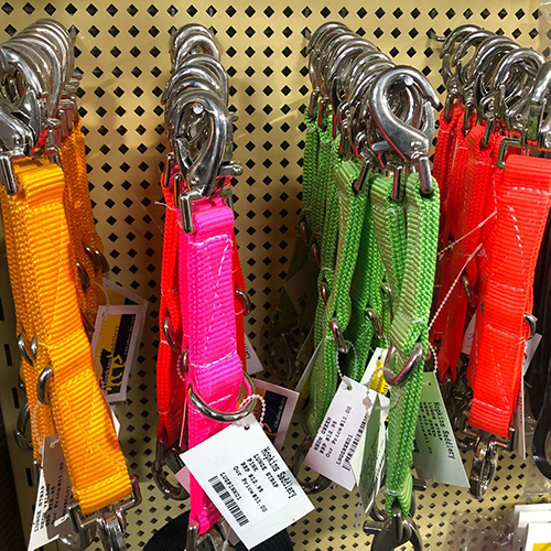 Lunge Converter strap