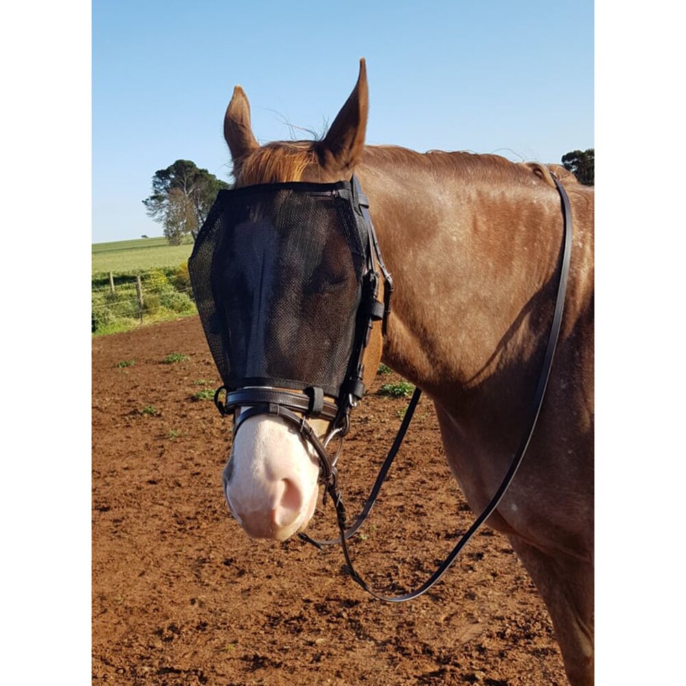 Fly Mask/Veil Riding Mask