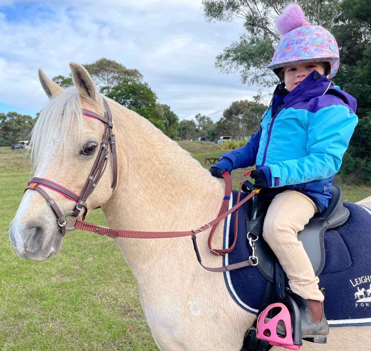 Pvc Bridle & Marker Contact Reins