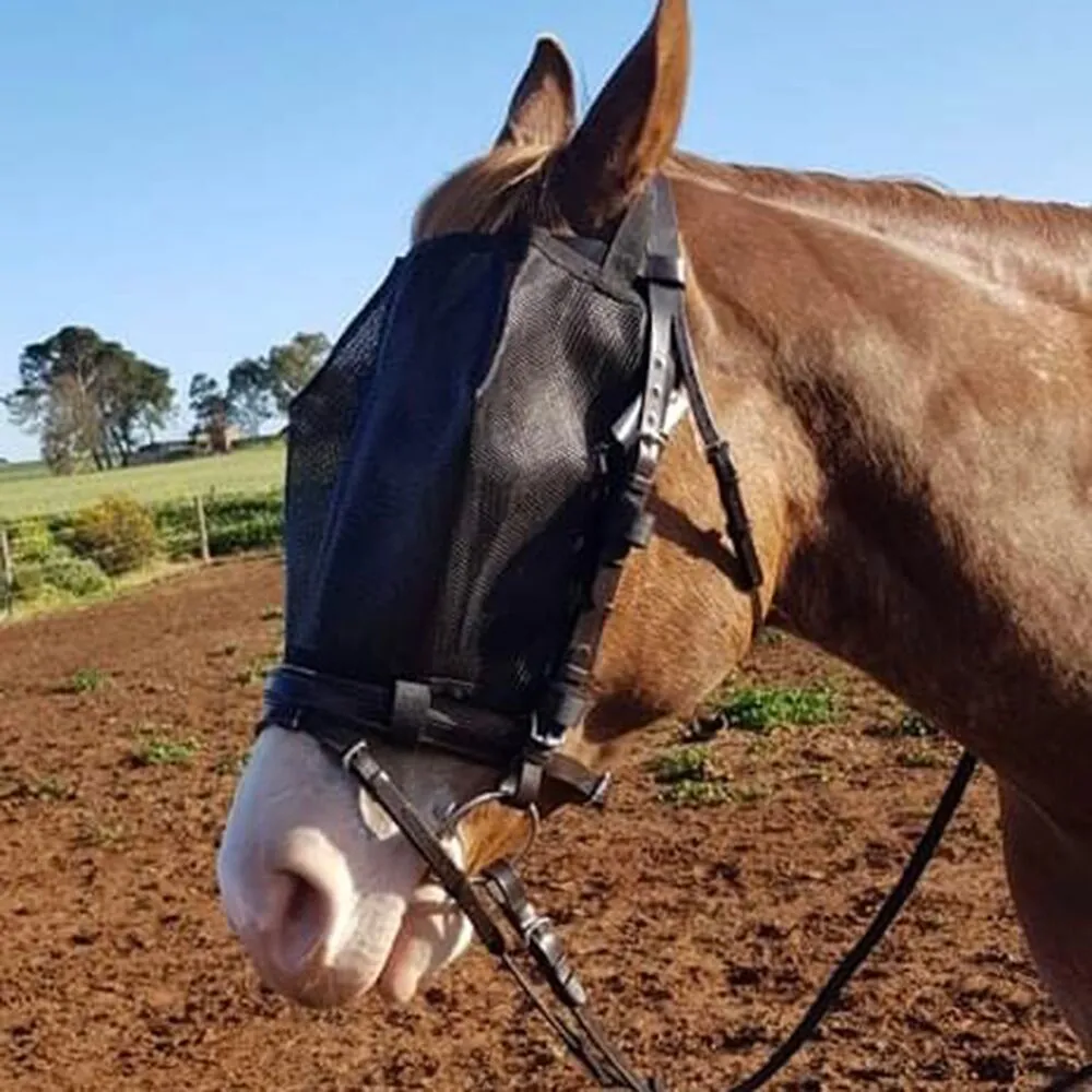 Fly Mask/Veil Riding Mask