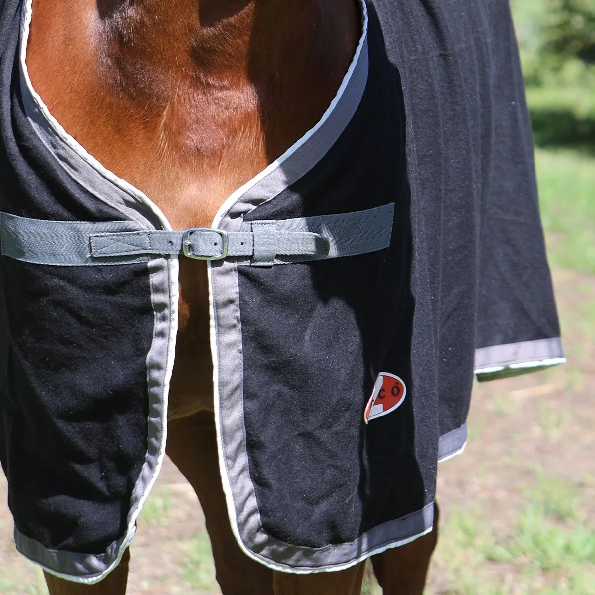 Stadium Wool Rug - Dress Rug/Trophy Rug With Embroidery - Image 4