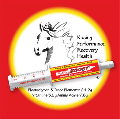 Pro-Dosa Boost Paste