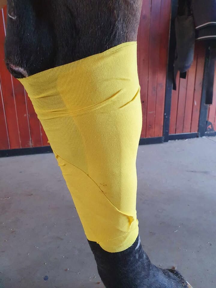 Ranvet Essential Wrap - Image 3