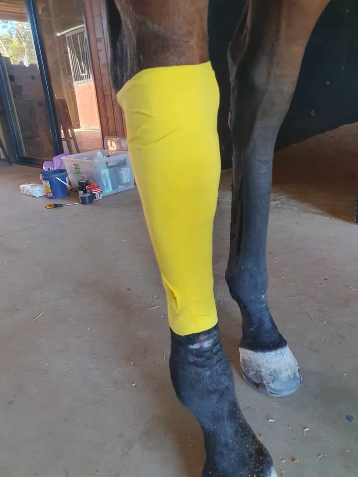 Ranvet Essential Wrap - Image 4