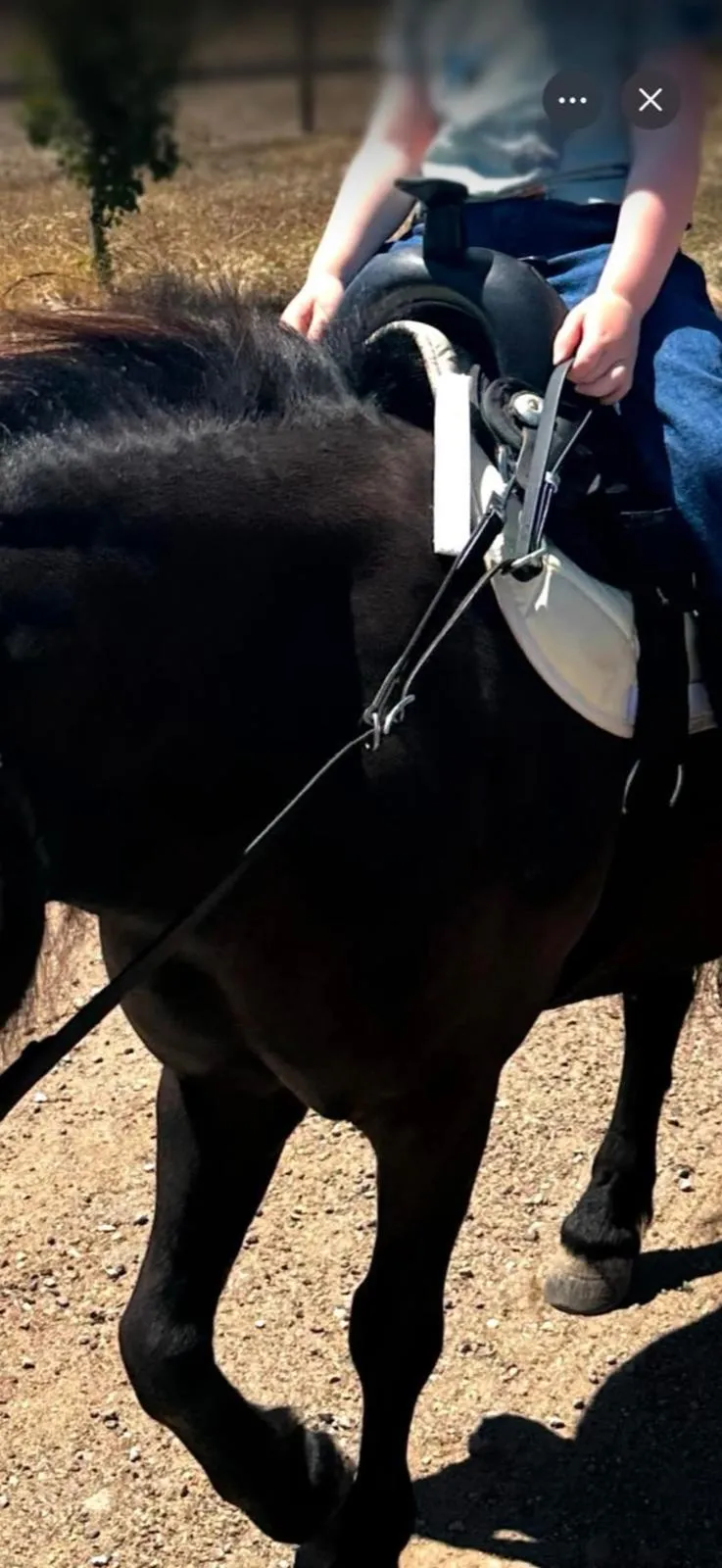 Horse Pony Adjustable Childs Beginner  Leather Contact Reins With Loop Ends