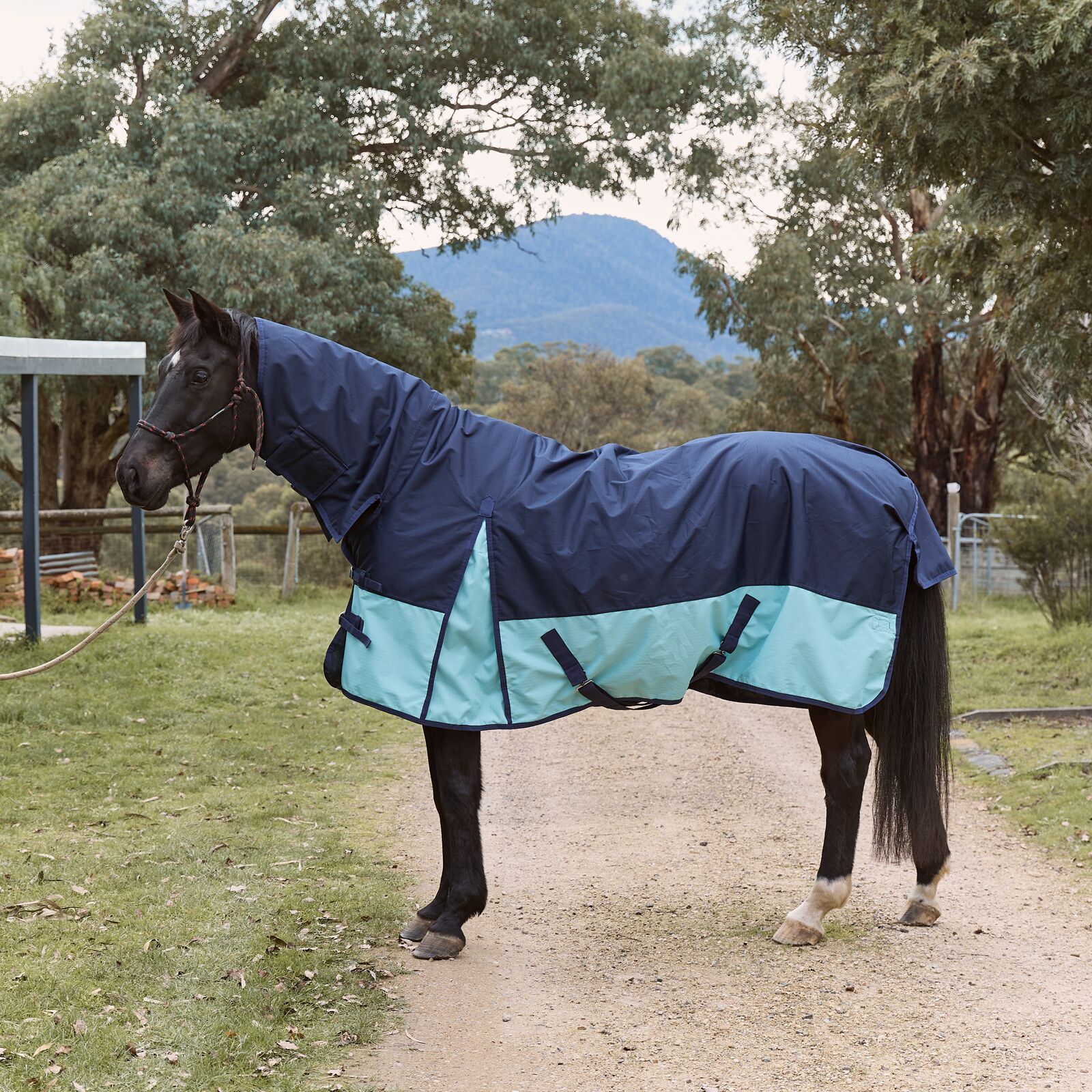 Eureka Bounty Hunter Light Winter Combo - Navy & Sky Blue