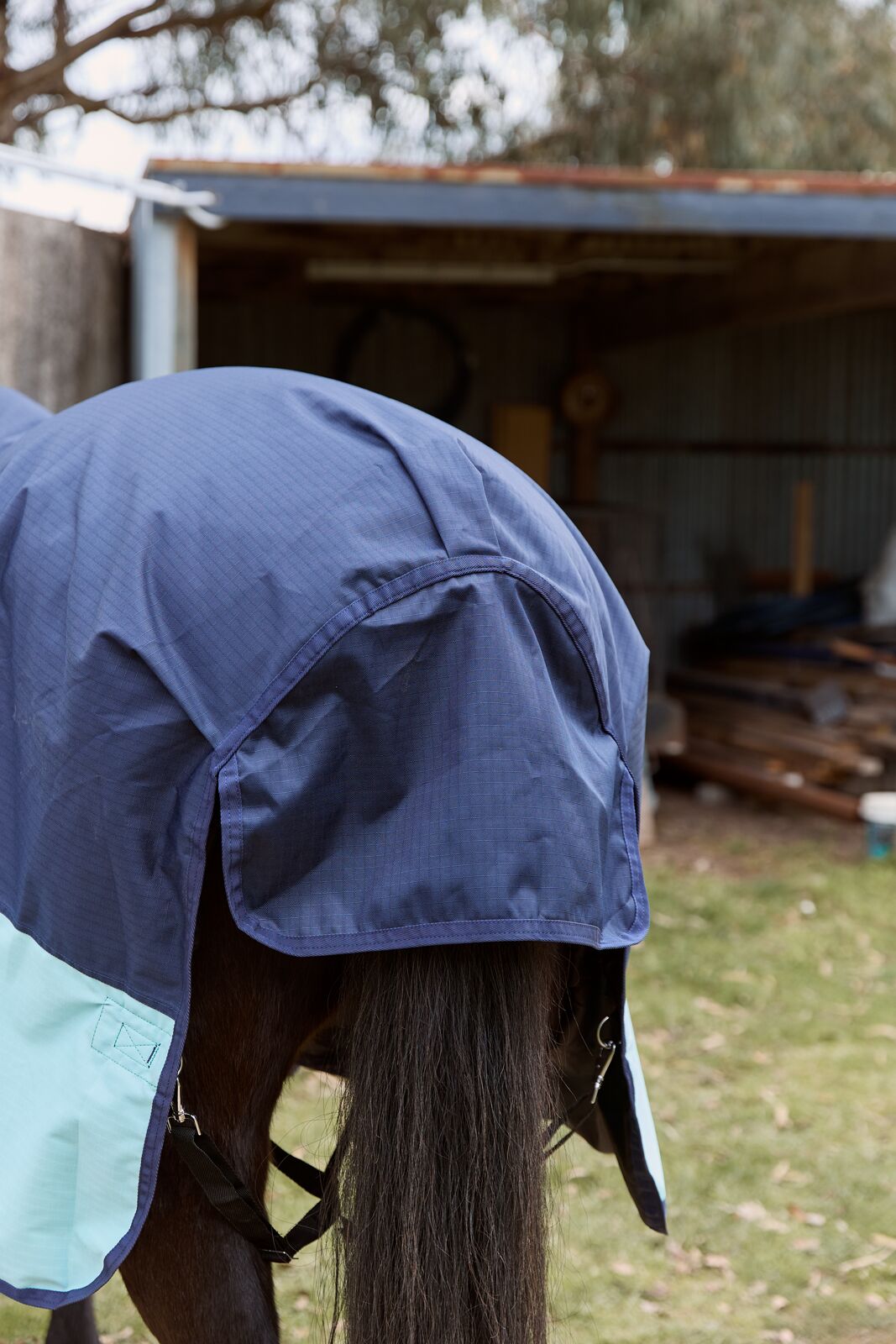 Eureka Bounty Hunter Light Winter Combo - Navy & Sky Blue - Image 4