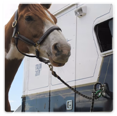 SAFE T-TIE - Image 3