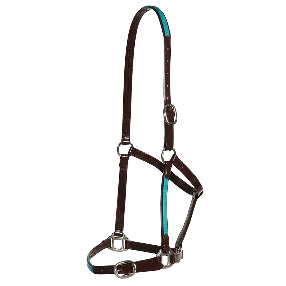 Fort Worth Halter PVC Overlay Halter - Brown/Turquoise - Image 2