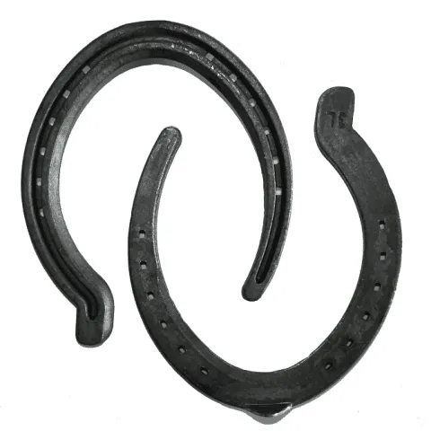 O'Dwyer Pacing Horseshoes Hinds