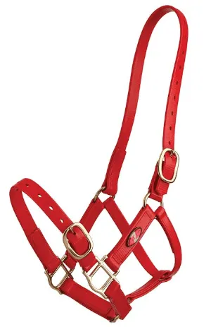 Zilco 25mm PN Halter - Image 7