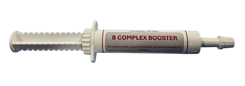 NC EquiPro B-Complex Booster – Vitamin Supplement for Horses 30ml - Image 2