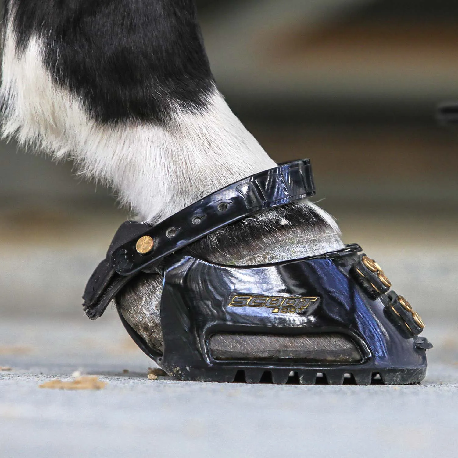 Scootboot Classic - Pair - Image 6