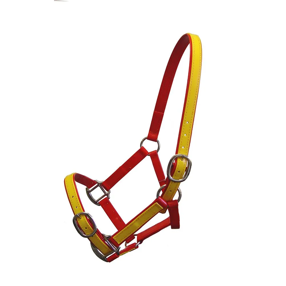 Sprintwell Two Tone Headstall