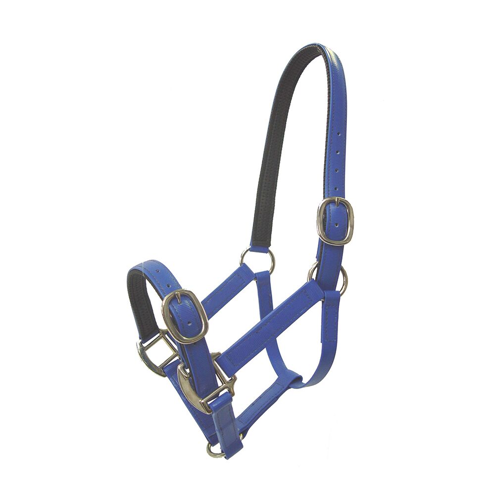 Sprintwell Headstall