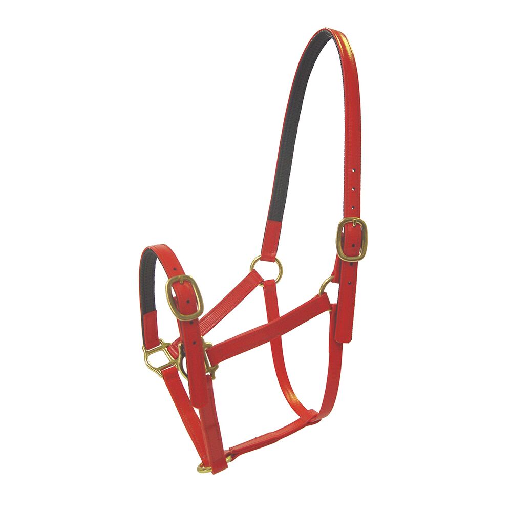 Sprintwell Headstall 3/4 Inch Pvc Brass Fittings
