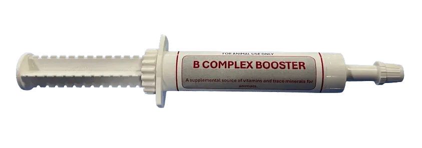 B-Complex Booster – Vitamin Supplement for Horses 30ml