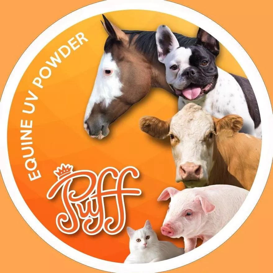Puff Equine UV Powder