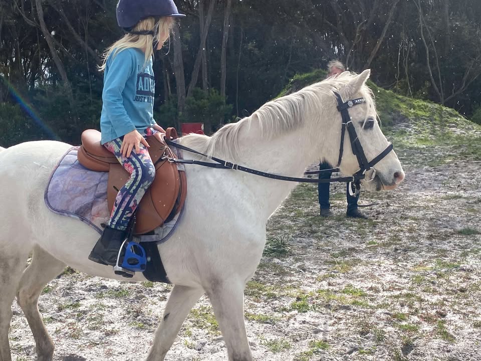 Contact Reins in Leather for Horses | Beginner Riding Aid for Balance & Control