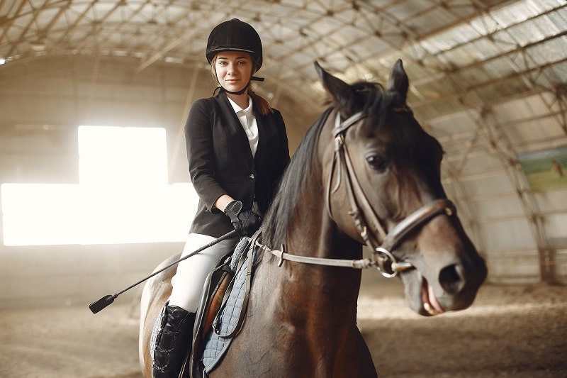 rider trains with horse