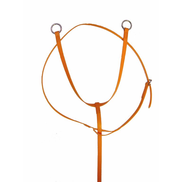 Exercise Martingale NC Equine