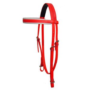 Eventing Bridle (Head Only)