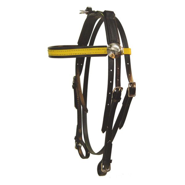 pony bridle