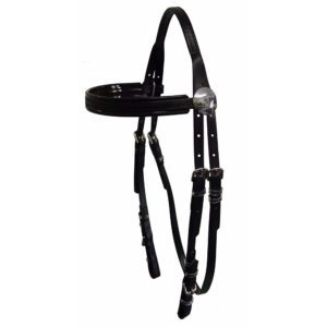 Fixed Head Race Bridle