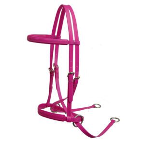Bitless Bridle With Nickel Plate Fittings