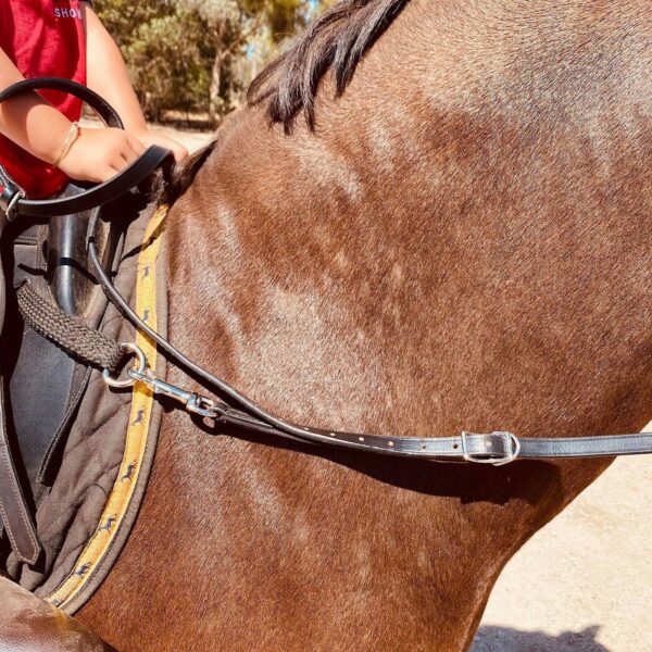 Contact Reins In Leather